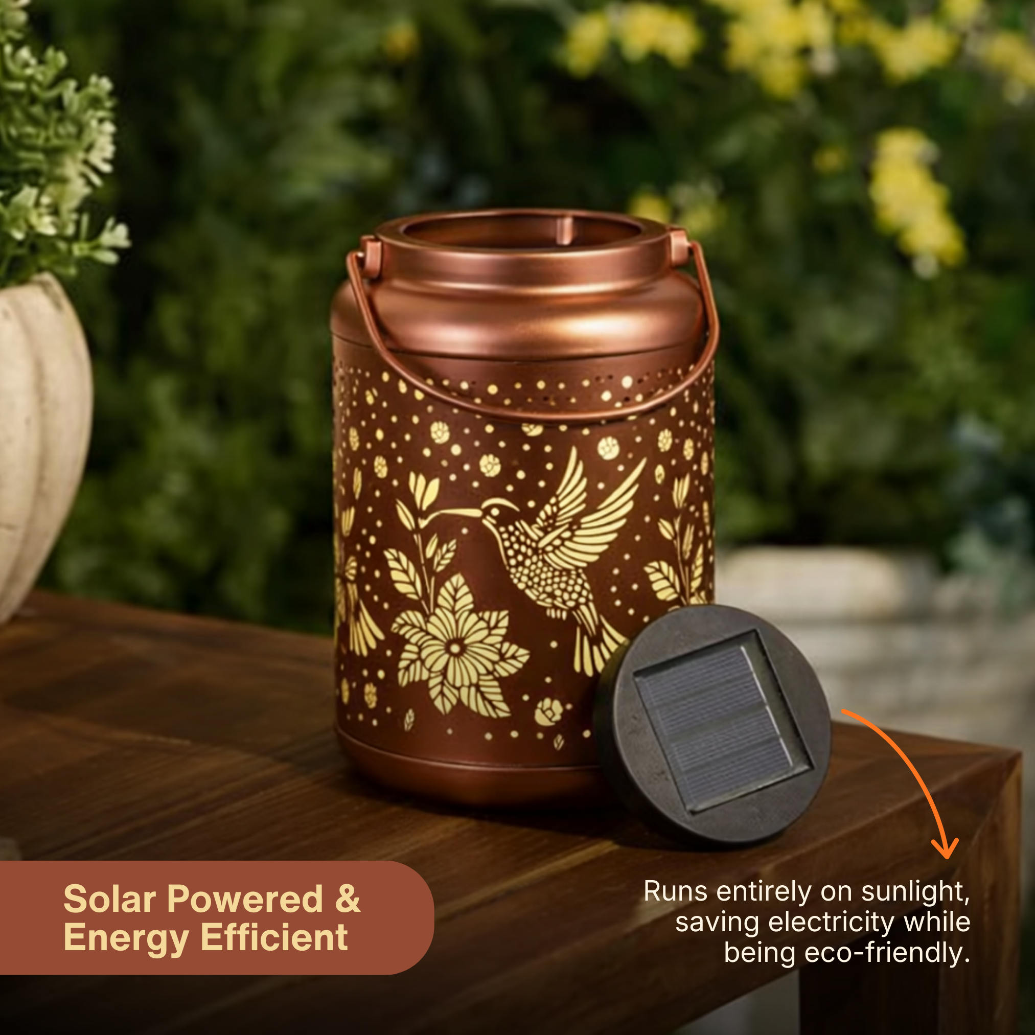 Solar Hummingbird Lantern
