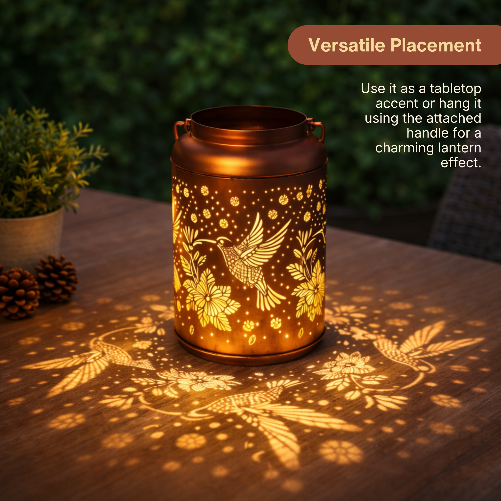 Solar Hummingbird Lantern