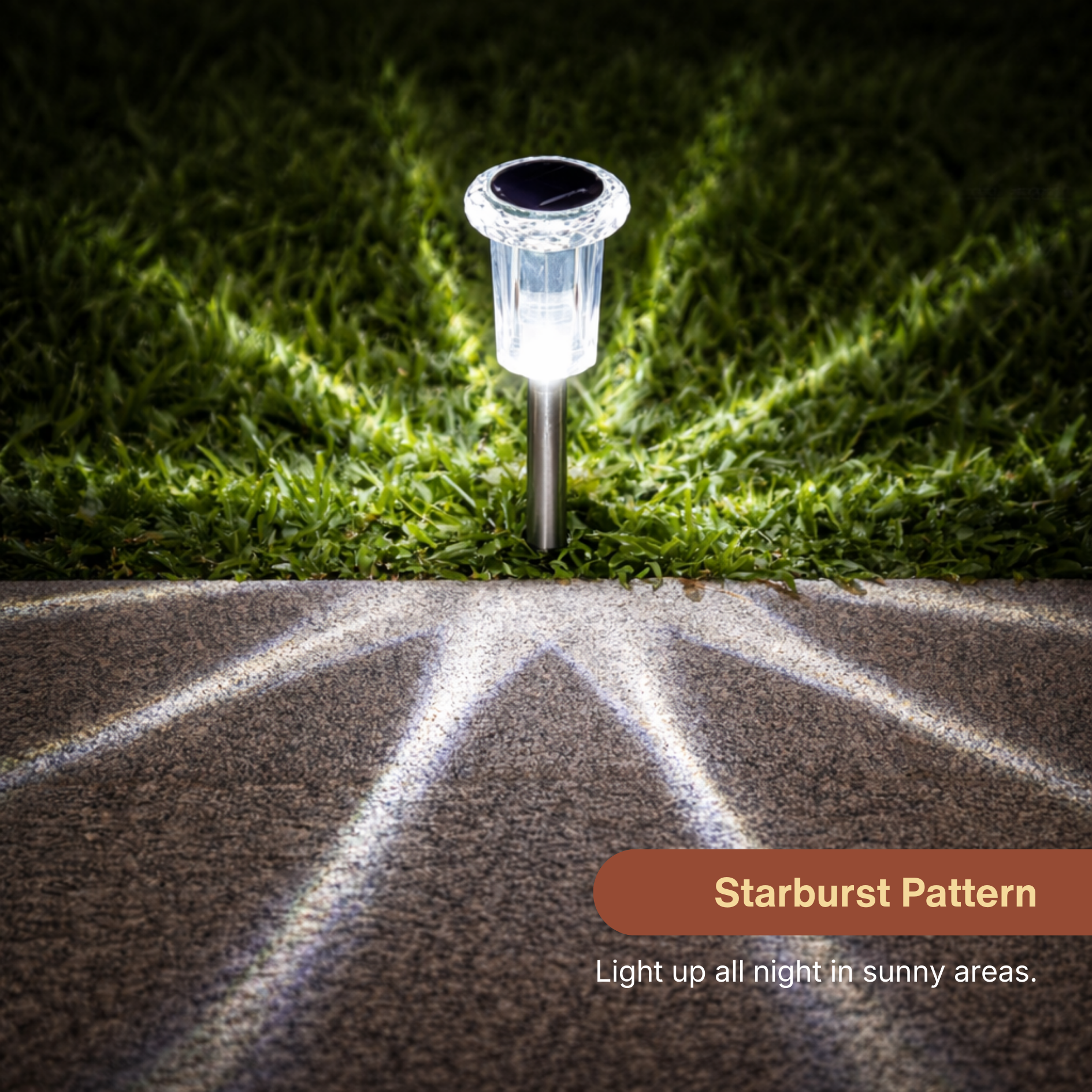 Solar Pathway LED Lights