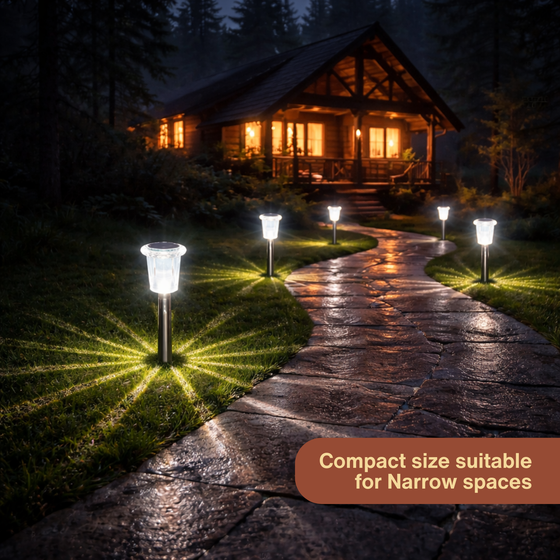Solar Pathway LED Lights