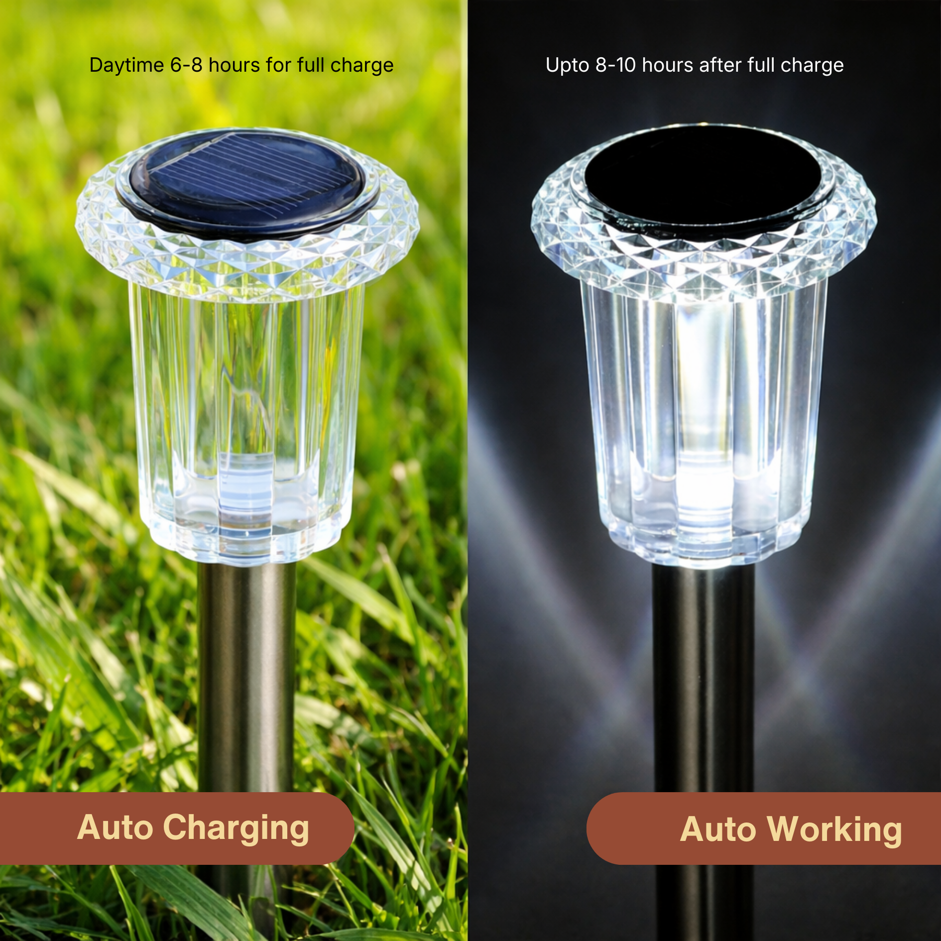 Solar Pathway LED Lights