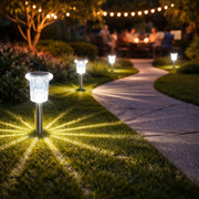 Solar Pathway LED Lights